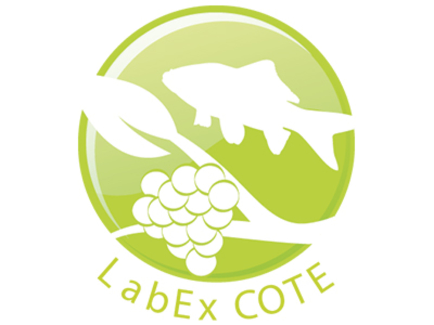Logo_LabEx_COTE_opengraphimage.jpg
